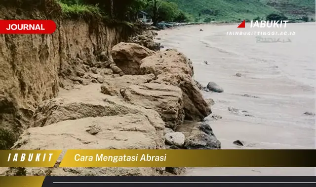 Ketahui Cara Mengatasi Abrasi Pantai yang Efektif