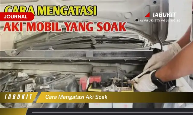 Ketahui Cara Mengatasi Aki Soak yang Mudah Dipahami