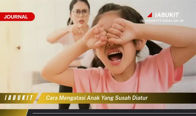 Temukan Cara Mengatasi Anak Susah Diatur yang Sudah Terbukti