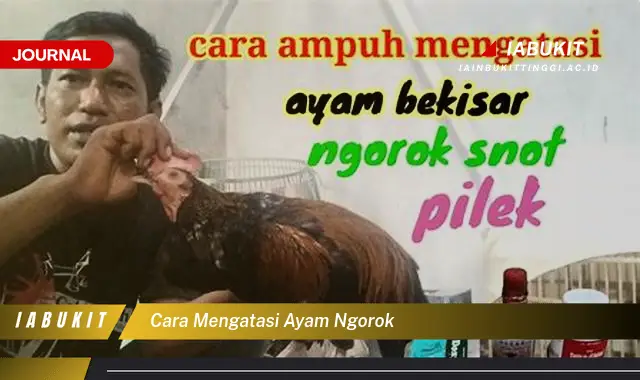 Ketahui Cara Mengatasi Ayam Ngorok yang Jarang Diketahui