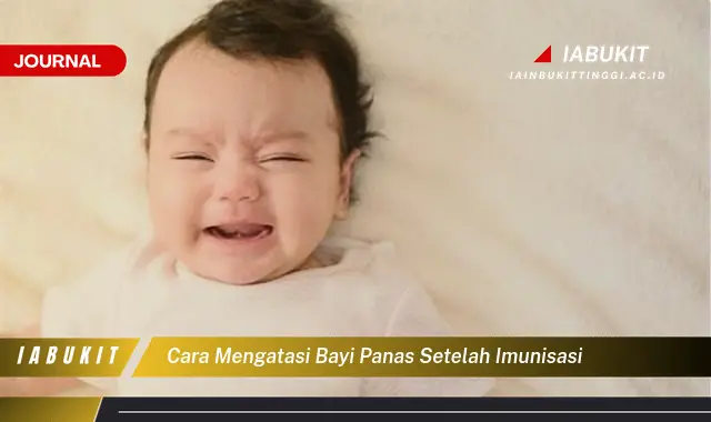 Ketahui Cara Mengatasi Demam Bayi Pasca Imunisasi yang Jarang Diketahui Ketahui Cara Mengatasi Demam Bayi Pasca Imunisasi yang Jarang Diketahui