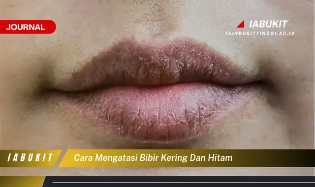 Temukan Cara Atasi Bibir Kering & Hitam yang Jarang Diketahui