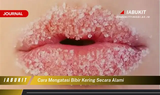 Ketahui Cara Atasi Bibir Kering Secara Alami yang Mudah Dipahami