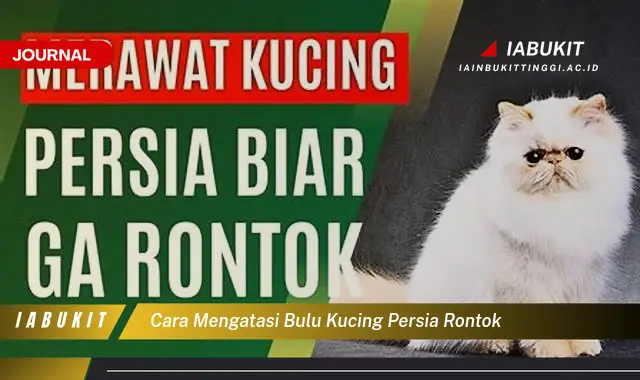 Temukan Cara Mengatasi Bulu Kucing Persia Rontok yang Jarang Diketahui