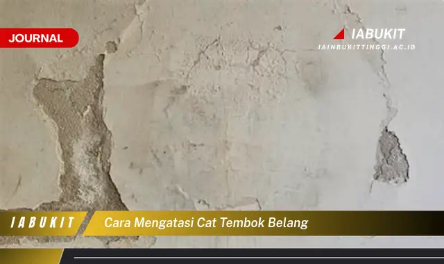 Ketahui Cara Atasi Cat Tembok Belang yang Mudah