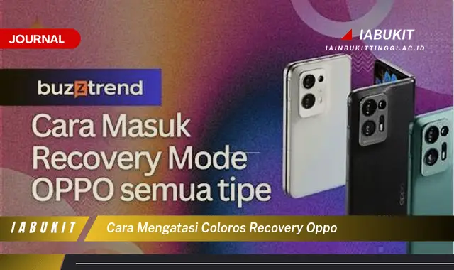 Ketahui Cara Mengatasi ColorOS Recovery Oppo yang Mudah Dipahami