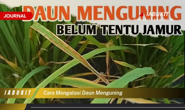 Temukan Cara Mengatasi Daun Menguning yang Jarang Diketahui