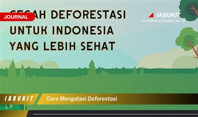 Ketahui Cara Mengatasi Deforestasi yang Jarang Diketahui