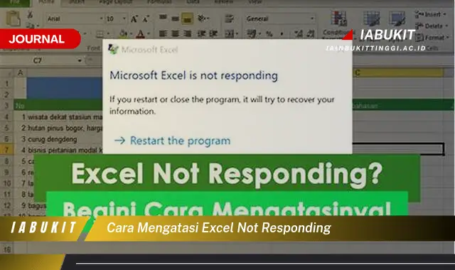 Temukan Cara Mengatasi Excel Not Responding yang Mudah Dipahami