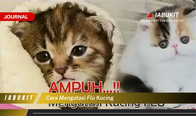 Ketahui Cara Mengatasi Flu Kucing yang Mudah Dipahami