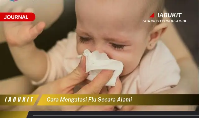 Ketahui Cara Mengatasi Flu Secara Alami yang Mudah Dipahami