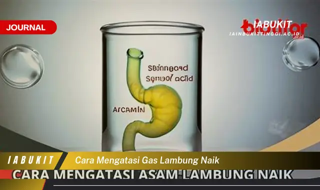 Inilah Cara Mengatasi Gas Lambung Naik yang Mudah Dipahami