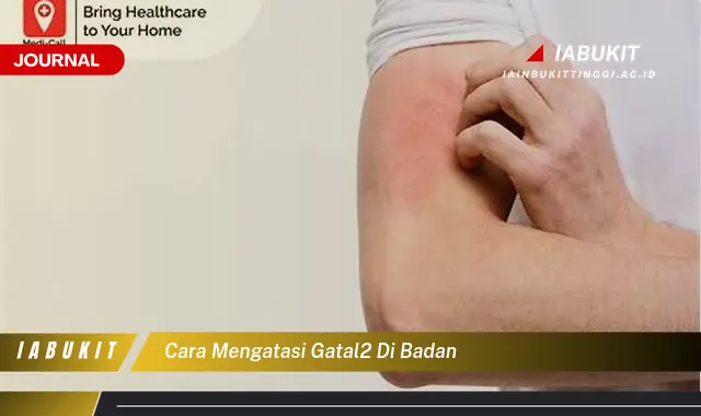 Ketahui Cara Mengatasi Gatal di Badan yang Jarang Diketahui