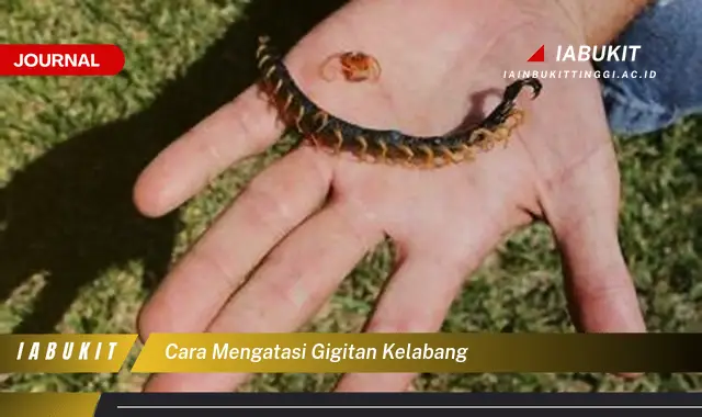 Ketahui Cara Mengatasi Gigitan Kelabang yang Efektif