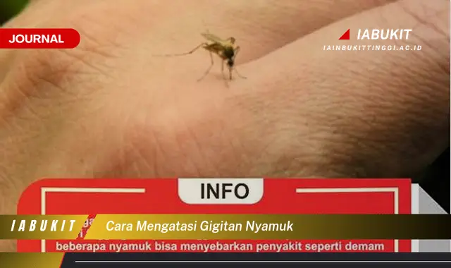 Ketahui Cara Mengatasi Gigitan Nyamuk yang Mudah Dipahami