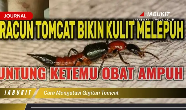 Ketahui Cara Mengatasi Gigitan Tomcat yang Jarang Diketahui