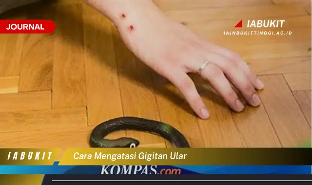 Ketahui Cara Mengatasi Gigitan Ular yang Jarang Diketahui