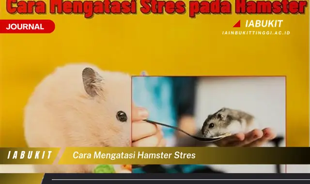 Ketahui Cara Mengatasi Hamster Stres yang Jarang Diketahui