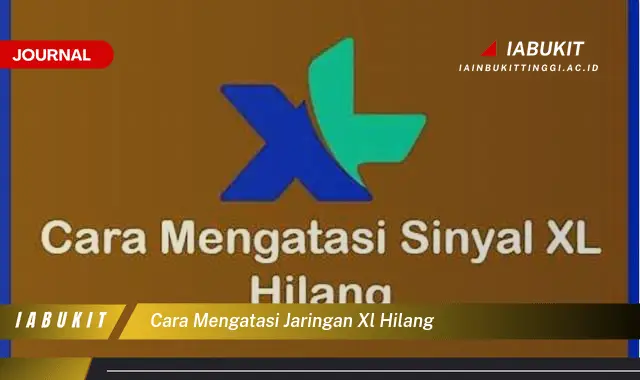 Ketahui Cara Mengatasi Jaringan XL Hilang yang Mudah Dipahami