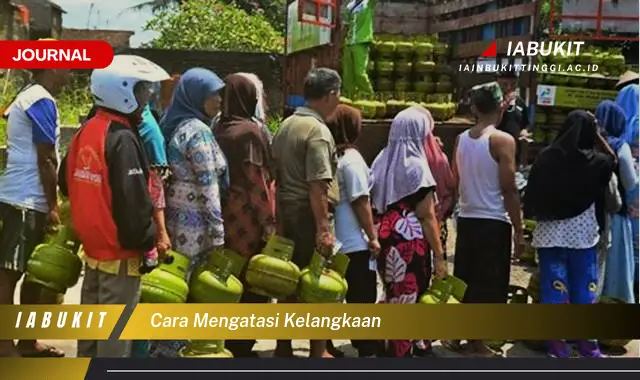 Ketahui Cara Mengatasi Kelangkaan Barang yang Mudah Dipahami