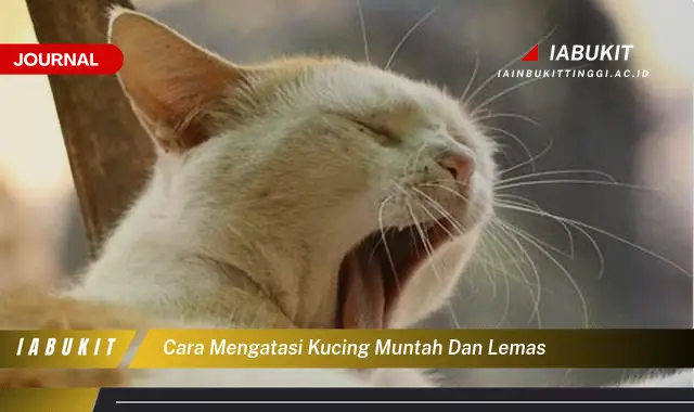 Ketahui Cara Atasi Kucing Muntah & Lema, Tips Ampuh