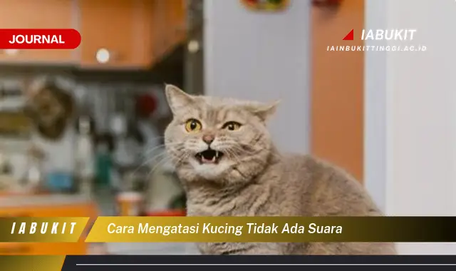 Ketahui Cara Mengatasi Kucing Tak Bersuara yang Mudah Dipahami