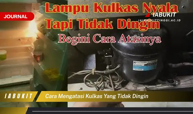 Ketahui Cara Mengatasi Kulkas Tidak Dingin yang Mudah Dipahami