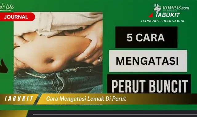 Ketahui Cara Mengatasi Lemak Perut yang Jarang Diketahui