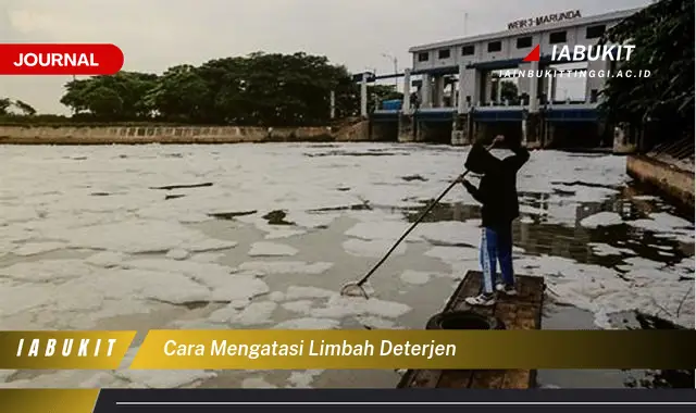 Ketahui Cara Mengatasi Limbah Deterjen yang Mudah Dipahami Ketahui Cara Mengatasi Limbah Deterjen yang Mudah Dipahami