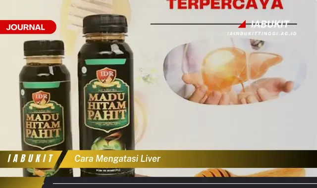 Ketahui Cara Mengatasi Liver yang Jarang Diketahui