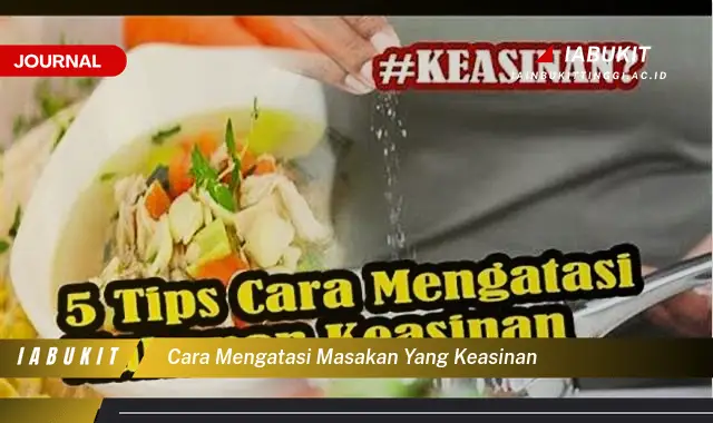 Temukan Cara Mengatasi Masakan Keasinan yang Mudah Dipahami