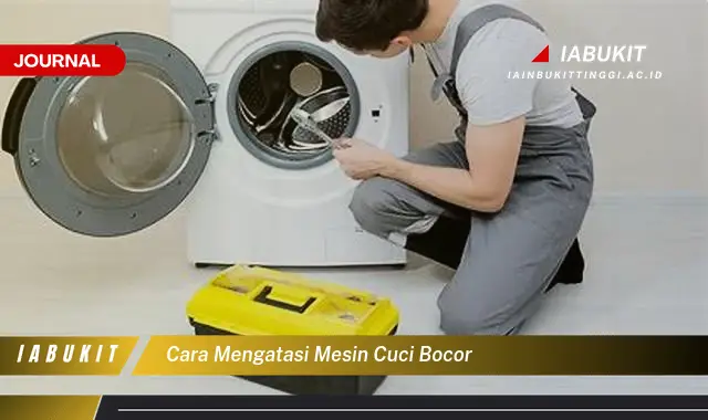 Temukan Cara Atasi Mesin Cuci Bocor yang Mudah Dipahami