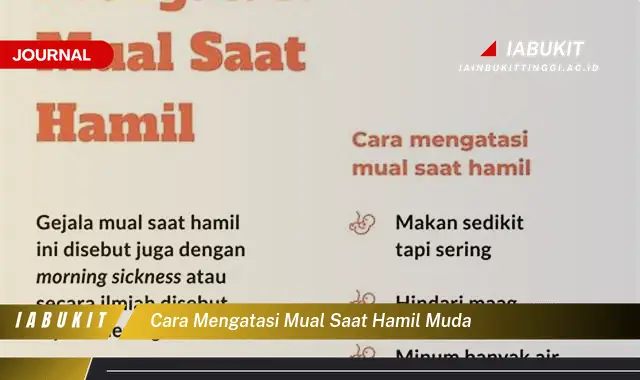 Ketahui Cara Atasi Mual Hamil Muda yang Jarang Diketahui