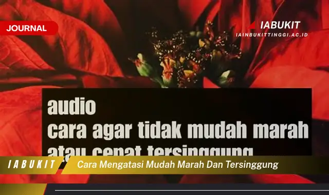 Ketahui Cara Mengatasi Mudah Marah yang Jarang Diketahui Ketahui Cara Mengatasi Mudah Marah yang Jarang Diketahui