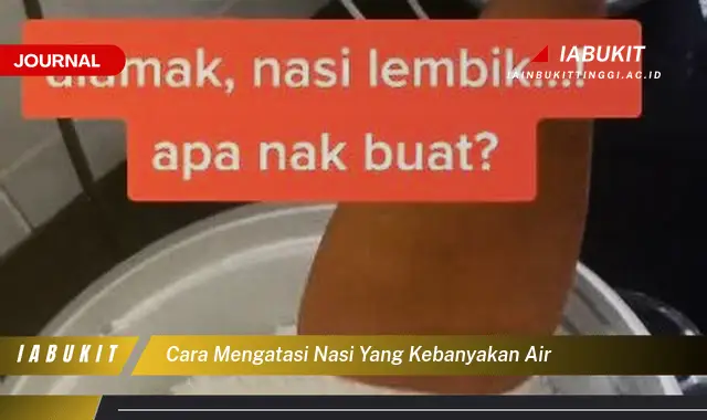 Ketahui Cara Mengatasi Nasi Kebanyakan Air yang Jarang Diketahui