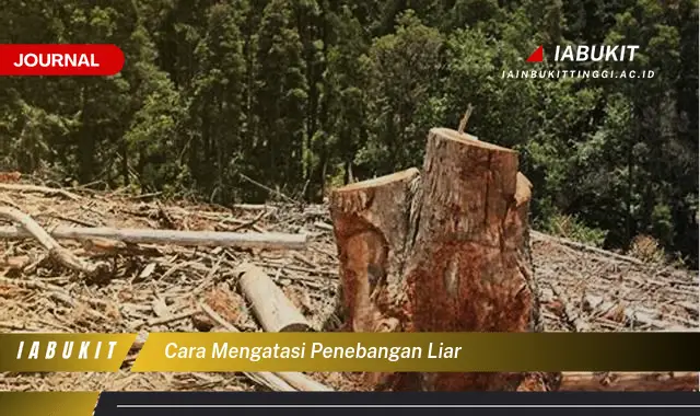 Ketahui Cara Mengatasi Penebangan Liar yang Jarang Diketahui Ketahui Cara Mengatasi Penebangan Liar yang Jarang Diketahui