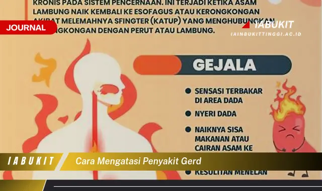 Ketahui Cara Mengatasi GERD yang Mudah Dipahami