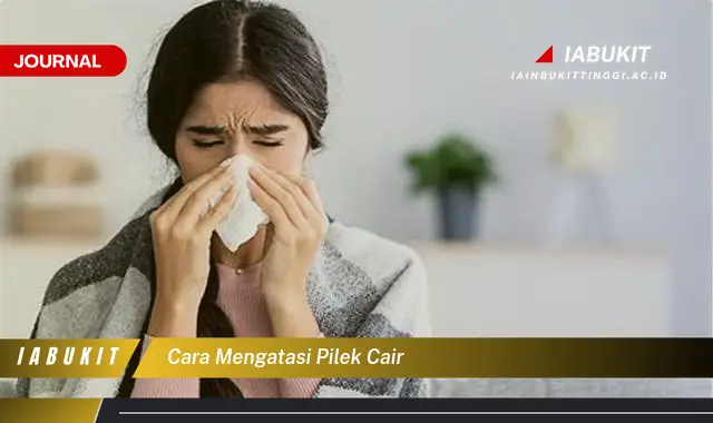 Inilah Cara Mengatasi Pilek Cair yang Mudah Dipahami