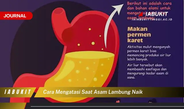 Ketahui Cara Mengatasi Asam Lambung Naik yang Jarang Diketahui