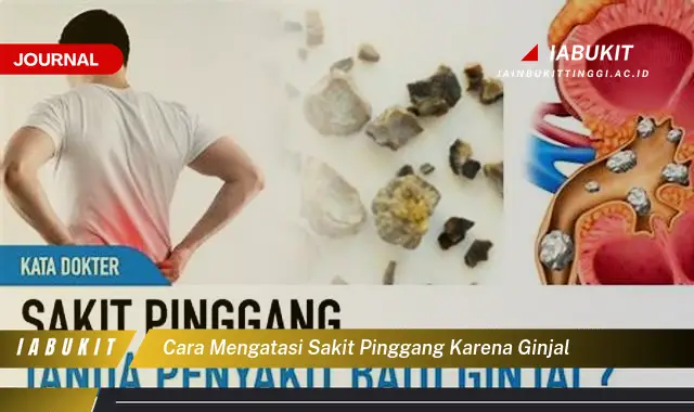 Ketahui Cara Atasi Sakit Pinggang Ginjal yang Jarang Diketahui