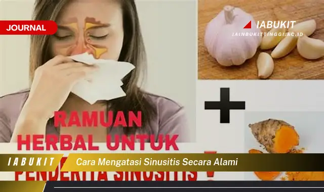 Temukan Cara Mengatasi Sinusitis Secara Alami yang Mudah Dipahami