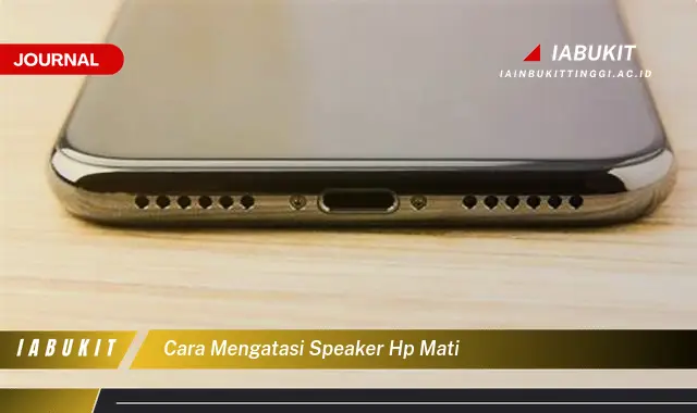 Ketahui Cara Mengatasi Speaker HP Mati yang Jarang Diketahui