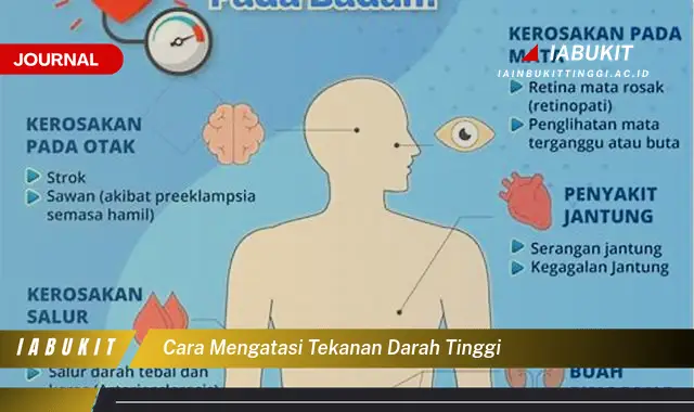 Ketahui Cara Mengatasi Tekanan Darah Tinggi yang Jarang Diketahui