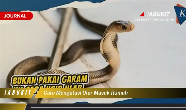 Ketahui Cara Mengatasi Ular Masuk Rumah yang Jarang Diketahui