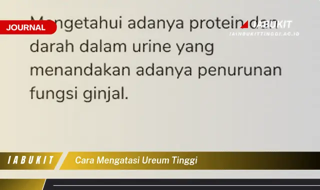 Ketahui Cara Mengatasi Ureum Tinggi yang Mudah Dipahami