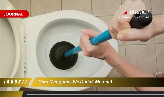 Ketahui Cara Atasi WC Duduk Mampet yang Mudah Dipahami