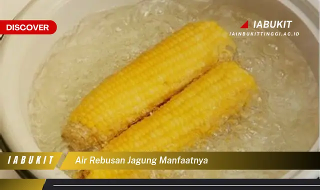 air rebusan jagung manfaatnya air rebusan jagung manfaatnya