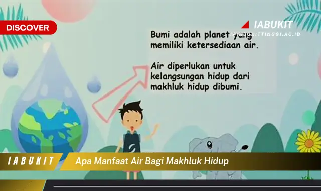 apa manfaat air bagi makhluk hidup