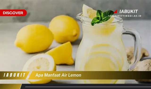 apa manfaat air lemon