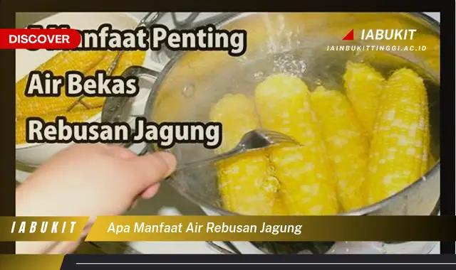 apa manfaat air rebusan jagung